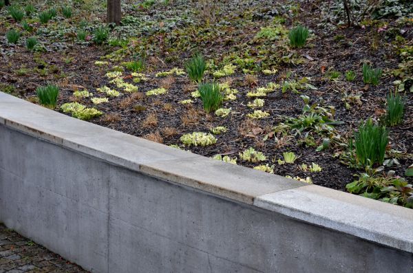 Cost of Concrete Wall Pouring in Atlanta