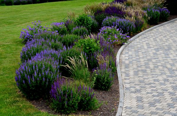 Cost of Sidewalk Curb Installation in Atlanta